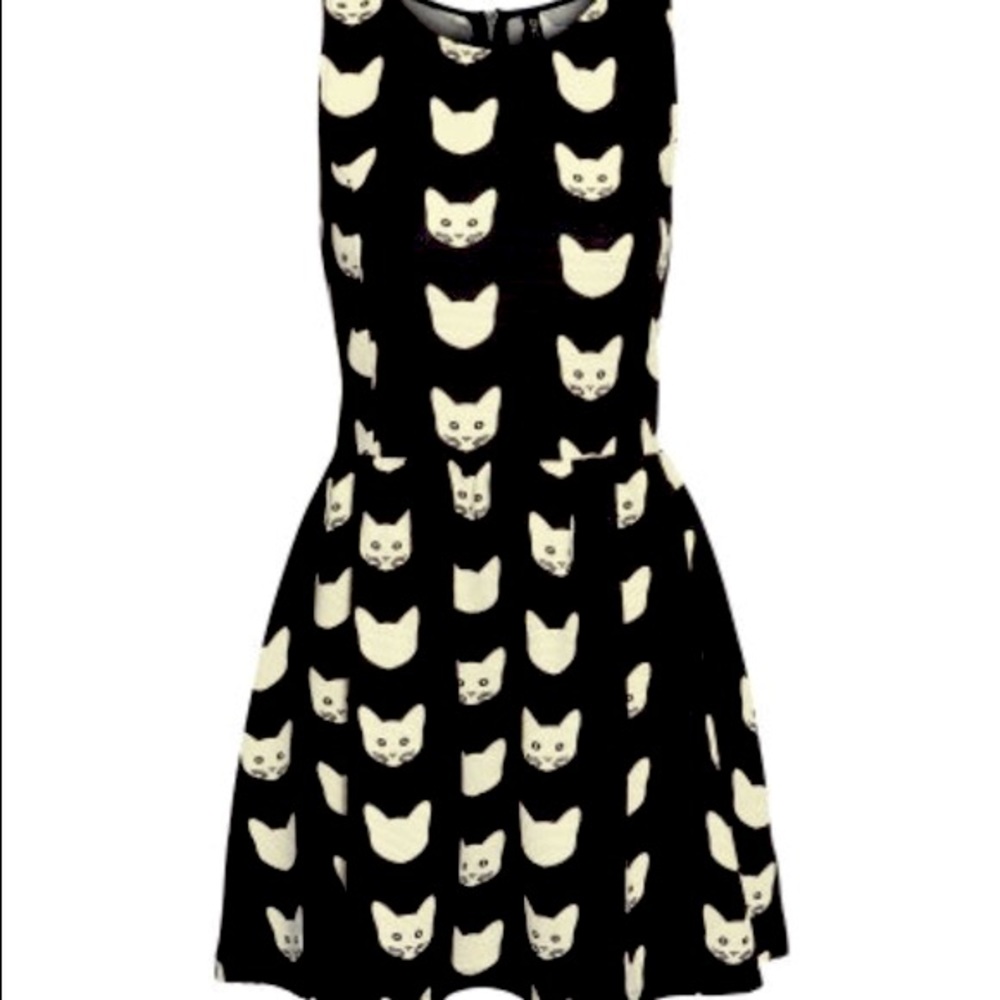 h&m cat skater skirt dress